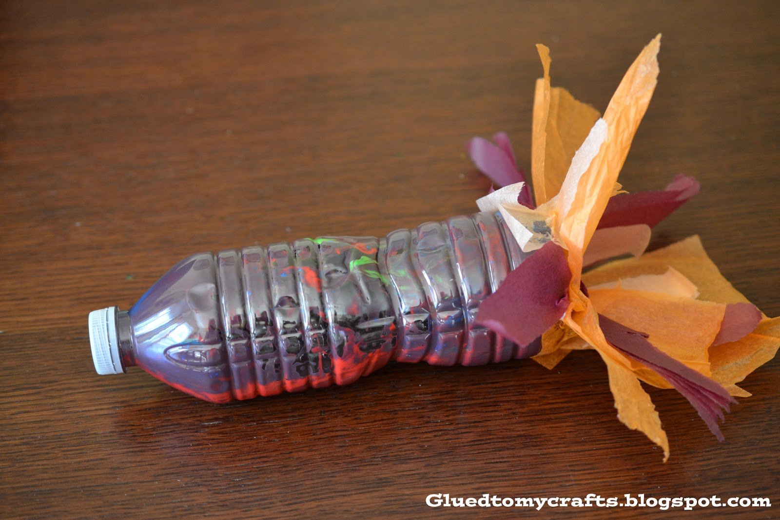 Recycled Water Bottle Rocket