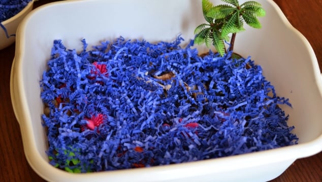 Ocean Sensory Bin Idea For Toddlers