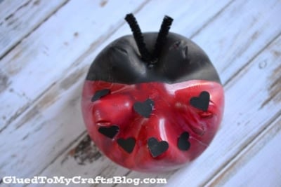 Recycled Soda Bottle Ladybug Craft