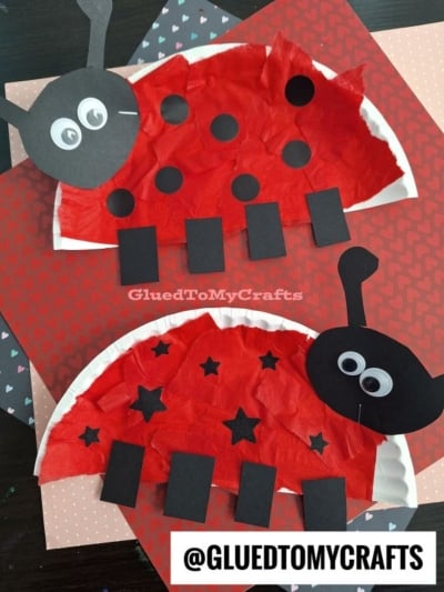 Two adorable paper plate ladybug crafts made with red tissue paper, black spots, googly eyes, and black paper legs and antennae are displayed on patterned backgrounds. Text: @GLUEDTOMYCRAFTS.