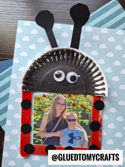 Popsicle Stick, Paper Plate & Coding Label Ladybug Picture Frame