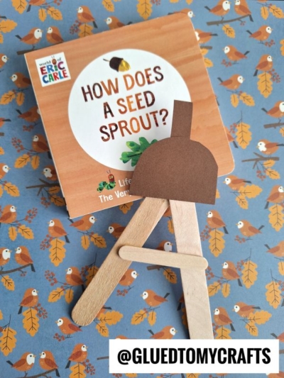 A book titled How Does a Seed Sprout? rests on bird-and-leaf patterned paper, beside a popsicle stick acorn craft made from brown paper and craft sticks. @GLUEDTOMYCRAFTS is labeled at the bottom.