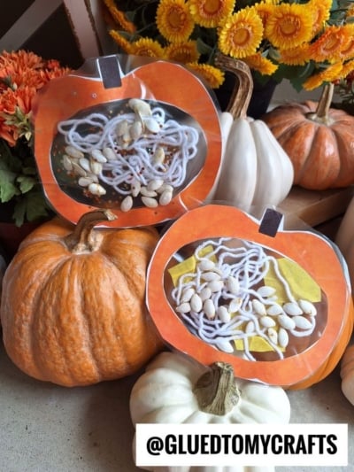 Two pumpkin-shaped crafts showing yarn and pumpkin seeds on paper, displayed among real pumpkins and orange flowers. Perfect for an “inside my pumpkin craft” activity, these creations offer a fun way to explore what’s inside a pumpkin. @GLUEDTOMYCRAFTS is labeled at the bottom of the image.