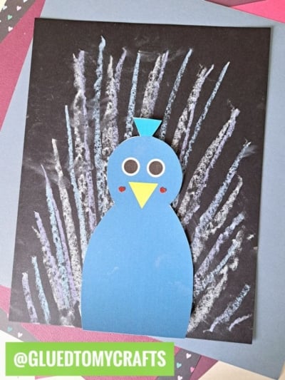 A blue paper peacock with a yellow beak and round eyes is glued to black paper. White chalk lines radiate behind it, resembling feathers—perfect for a peacock chalk art project. The image features @GLUEDTOMYCRAFTS in a green box.