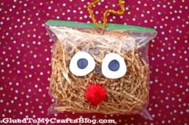 Plastic Baggie & Crinkle Paper Reindeer - Kid Craft