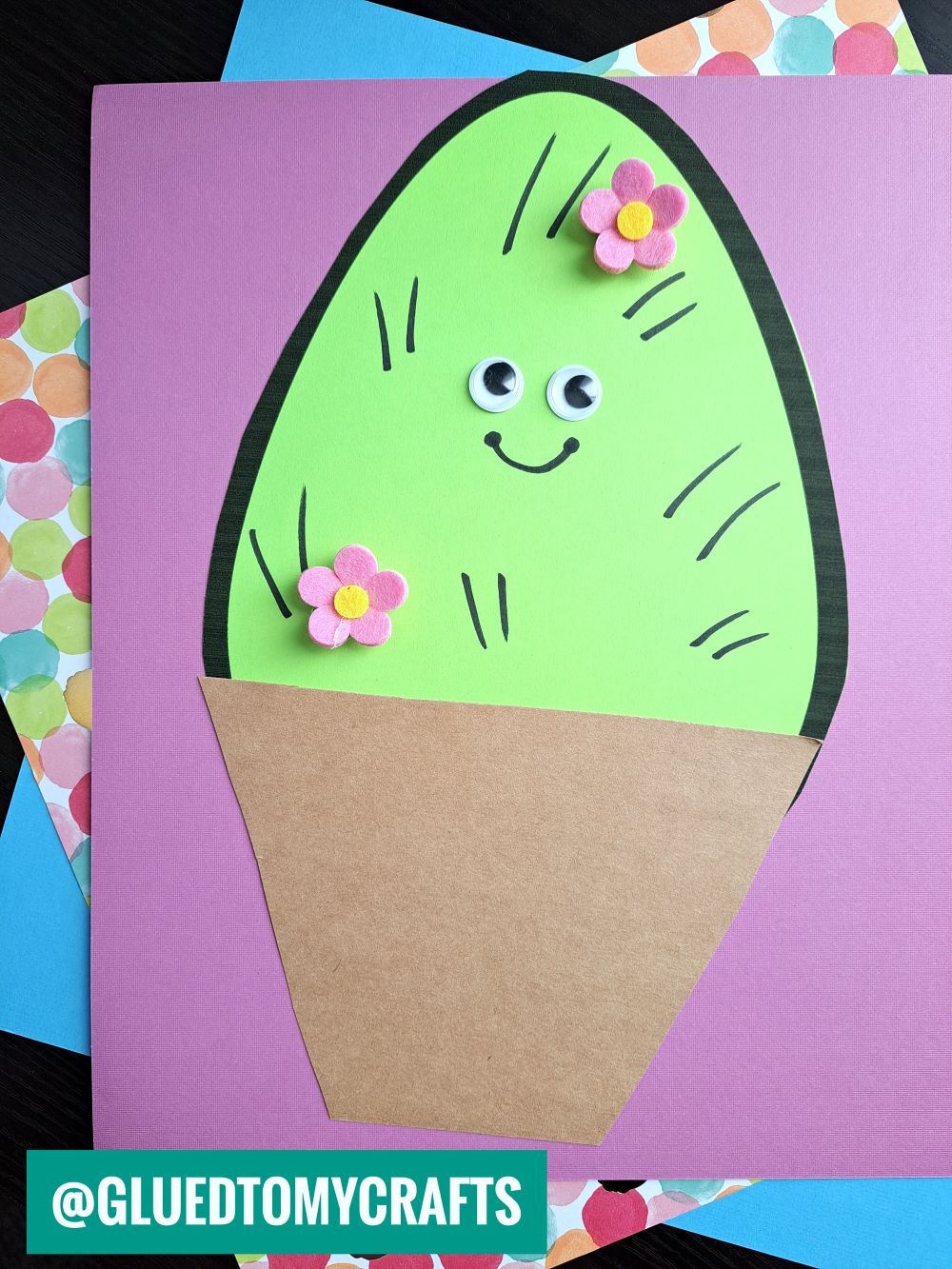 Egg Shaped Cactus