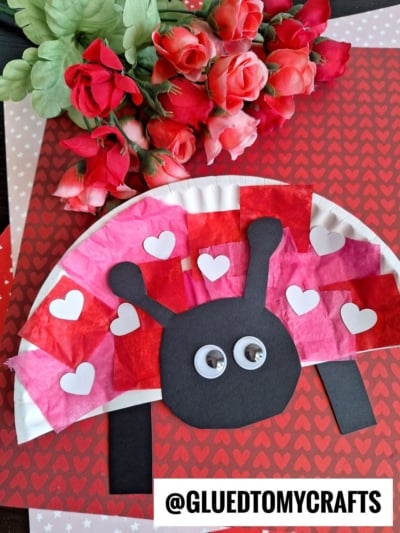 PAPER PLATE LADYBUG - USE TISSUE PAPER FOR THE BODY
