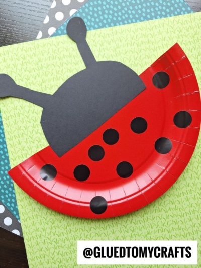 A fun INSECT CRAFT IDEAS project: a paper plate ladybug with a red plate for wings, black paper dots, head, and antennae, all displayed on patterned paper backgrounds. @GLUEDTOMYCRAFTS text is at the bottom.