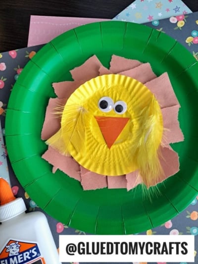 A cute paper plate craft features a yellow chick made from a cupcake liner, perfect for cupcake liner card crafts. It includes pink paper strips, googly eyes, a paper beak, yellow feathers, and glue on a green plate with @GLUEDTOMYCRAFTS below.