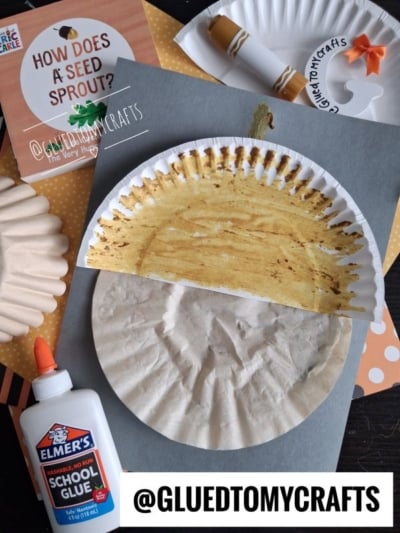 Paper plate craft resembling an acorn, surrounded by glue, craft supplies, and a How Does a Seed Sprout? booklet on a dark surface with an @GLUEDTOMYCRAFTS label at the bottom.